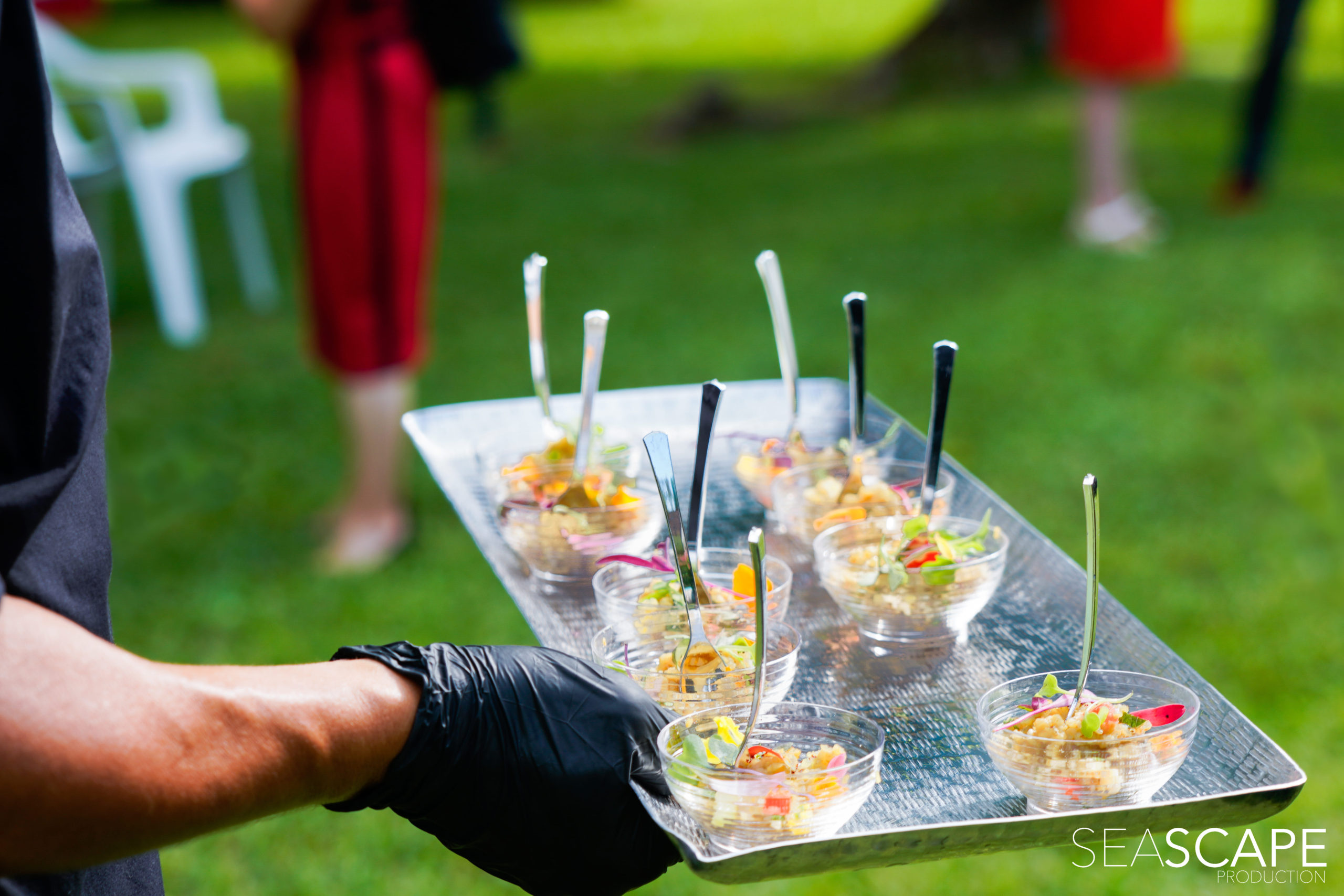 sugarbird-catering-caterers-houston-tx